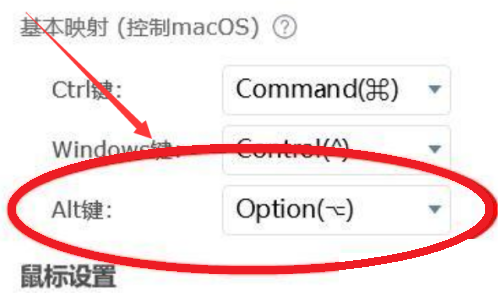 ToDesk远程控制怎么配置Alt键?ToDesk远程控制配置Alt键的方法截图