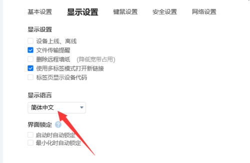 ToDesk怎么设置简体中文？ToDesk设置简体中文教程截图