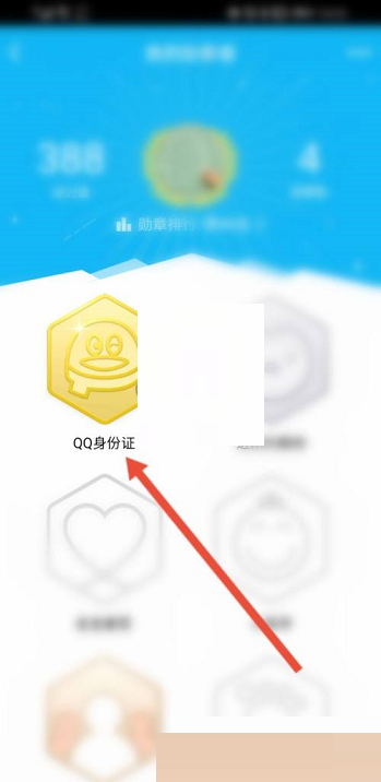 QQ身份证勋章怎么查看?QQ身份证勋章查看方法截图