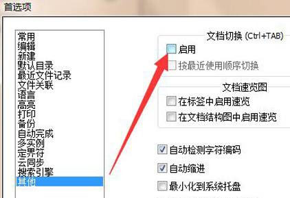 代码编辑器(Notepad++)怎么关闭文档切换?代码编辑器(Notepad++)关闭文档切换方法截图